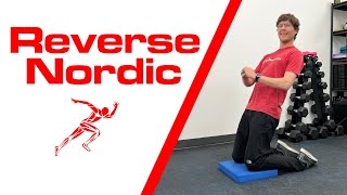 Reverse Nordic Exercise | Quad Strength & Flexibility Wealth