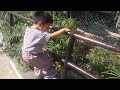 Central Zoo Jawalakhel