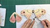 Chinese paper-cuts: A Spring Festival tradition