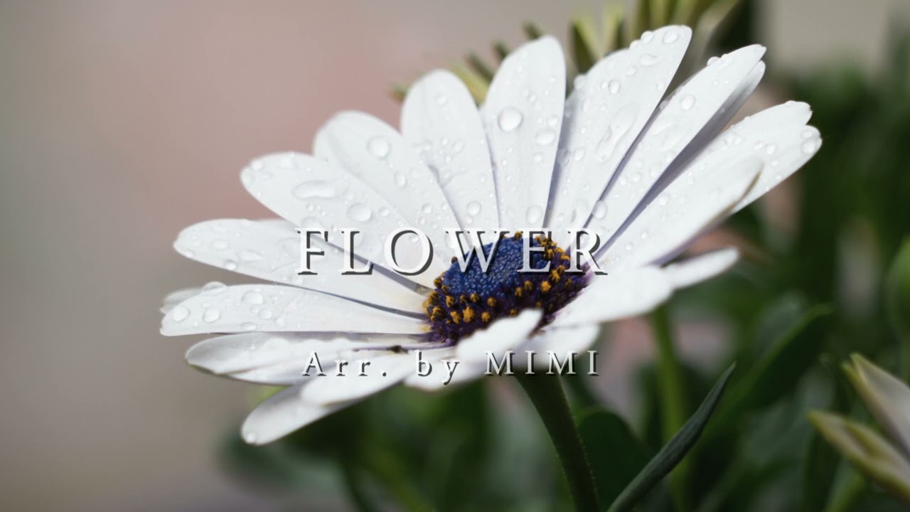 FLOWER (arr. by MIMI) / jubeat DJ YOSHITAKA - YouTube