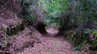 Camiño do Pai Sarmiento en Taboadelo (Ponte Caldelas)