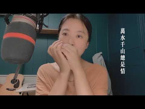17 万水千山总是情，人间处处见真情，一起加油？？#口琴#布鲁斯口琴