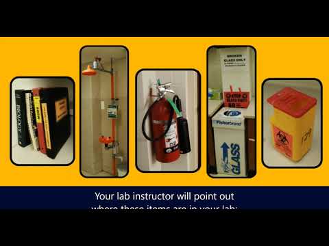 Lab Safety Rules in Biology Majors lab