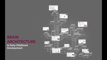 Brain Architecture in Early Childhood Development