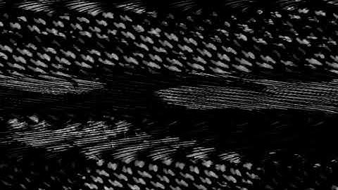 CO-CHANNEL INTERFERENCE MULTIPATH GHOST