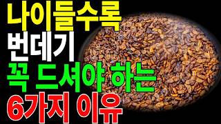 의사들도 주목한 놀라운 단백질 식품, 번데기의 핵심 효능 6가지 | 노년건강