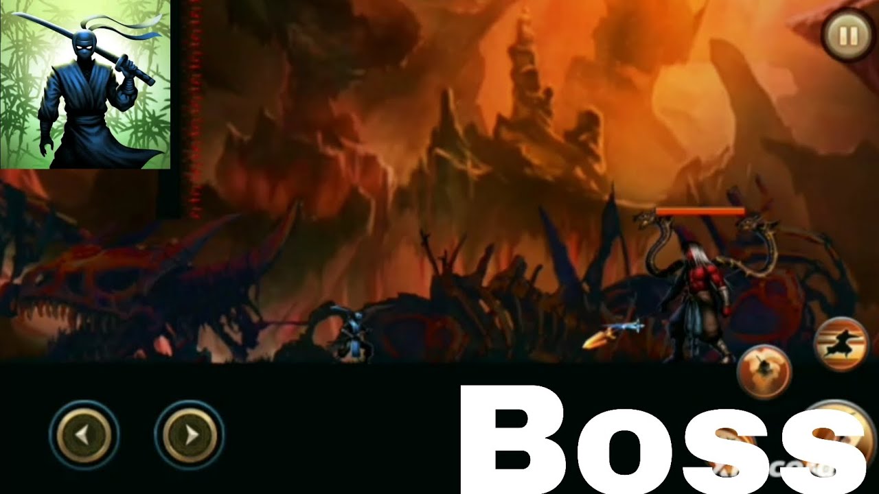 Ninja Warrior 2nd Boss Raiki Ryu