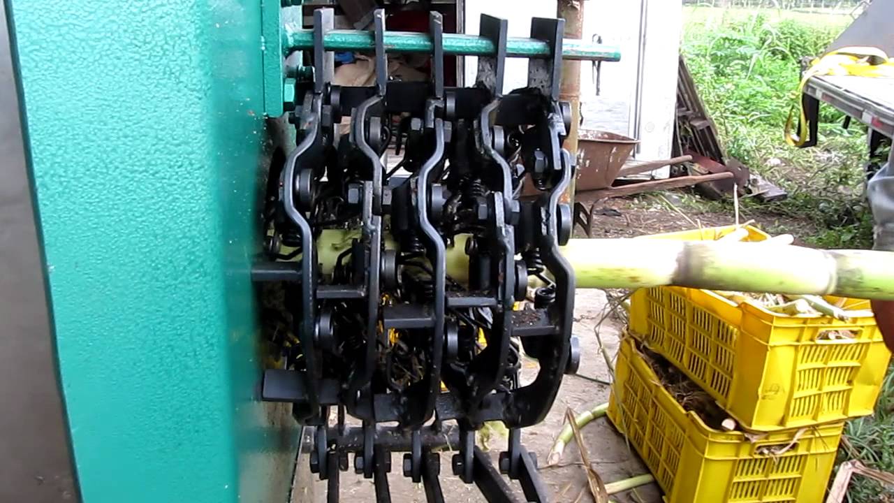 Sugar Cane Peeler in Homestead, Florida YouTube