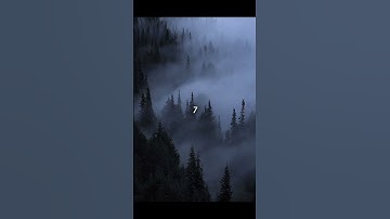 Thumbnail of Who remembers this song #fyp #nostalgia #forest #nature  #trending
