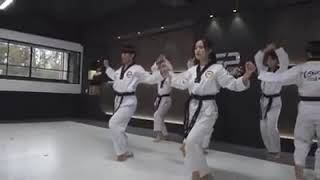 TAEKWONDO WTF