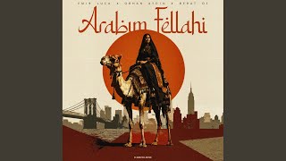 Arabım Fellahi