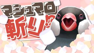 【マシュマロ捌く】かかってこいや【新人VTuber】