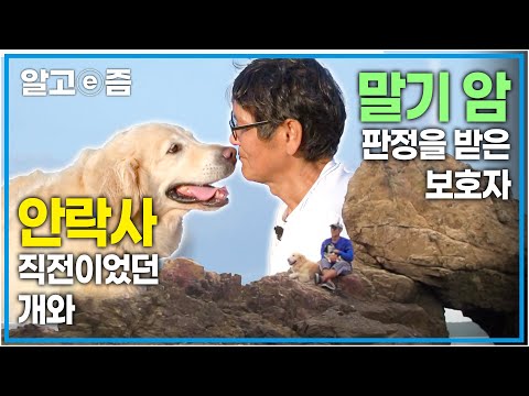 ‘딱 네가 나만큼 살았으면, 내가 너만큼만 살았으면’ <strong>안락사</strong> 직전 제2의 견생을 사는 강아지와 말기 암으로 이별을 생각해야 하는 보호자┃알고e즘