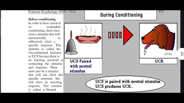 PSY513 Lecture 13 Forensic Psychology Short Lecture VU Lectures