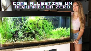 Allestimento di un acquario: come fare?