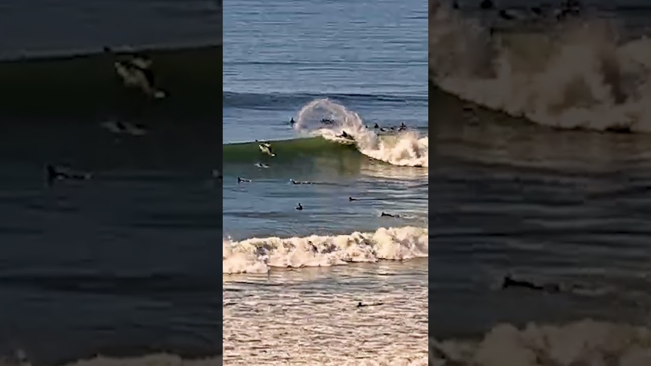 Clips