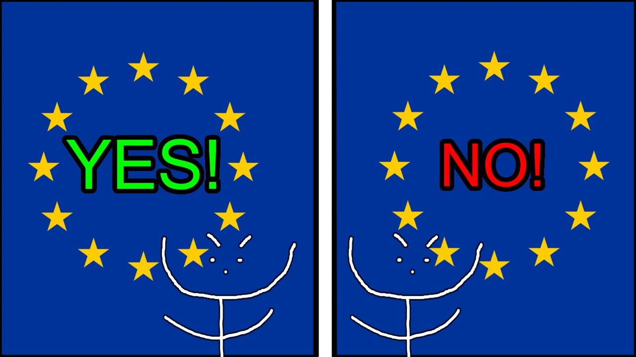 Do We Still Need The EU?