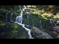 A tranquil waterfall in the tropics! The pleasant sound of a waterfall! The natural sound of water