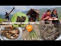 harvesting stingless bee MELIPONA | baby bamboo shoots | catching crabs | Naga farmers Activities.