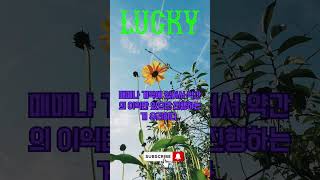 2024년 4월 19일 용띠 오늘의 운세 #오늘의운세 #용띠 #운세 #운세보기 #띠별운세