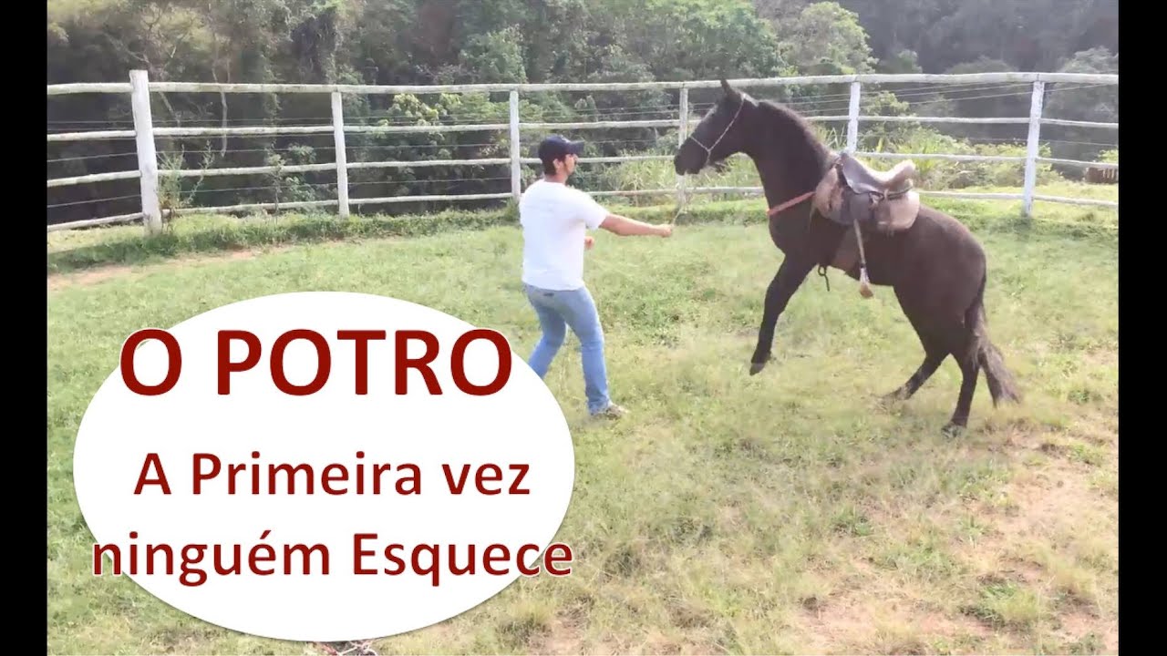 Montando em cavalo pela primeira vez (Com muitos pulos) 