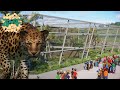 Realistic Amur Leopard Habitat | Planet Zoo Conservation Pack | Eastwood Zoo EP2