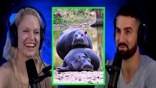 If Humans Had A Mating Season - Jamil Barbar & Hailey Hendricks