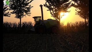 Silage 2017 - Claas Jaguar 980 - John Deere 7450