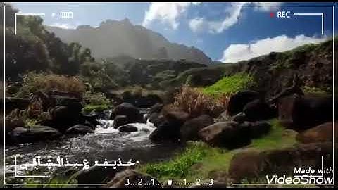 سورة مريم بصوت الشيخ هزاع البلوشي من الآية 22 الى الآية 42