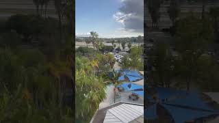 IMG 1333