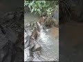 #beautiful #nature # what a beauty #wow #super #viralvideo#wayanad