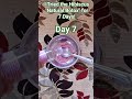 Day 7 of Natural Botox #hibiscus #rose #rosewater #shorts