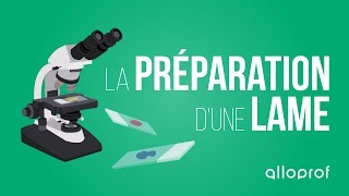 La préparation d'une lame, Sciences