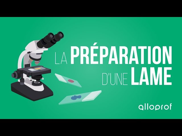 technique pour réaliser des mesures de taille au microscope optique (lame  micrométrique) on Vimeo