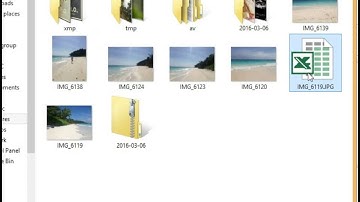 How to make template export EXIF, IPTC, XMP metadata to Excel file using Exif Pilot