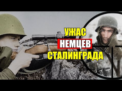 Этот снайпер придумал безошибочную систему нашего отстрела...