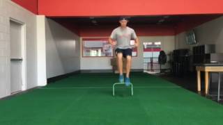 Forward/Backward Hurdle Hops