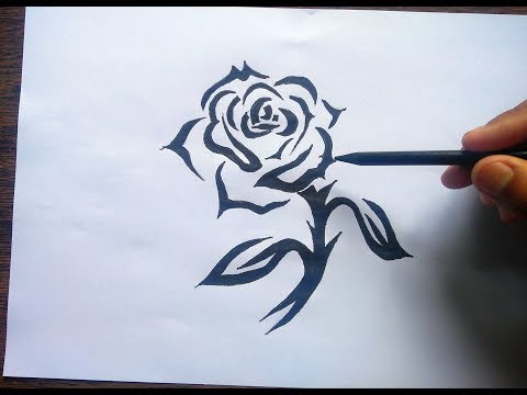 Vídeo: Como Desenhar Um Cravo Com Um Lápis Passo A Passo