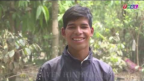 Hiệu quả trong công tác quản lý bảo vệ rừng Gia Lai