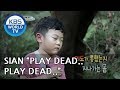 SIAN plays dead in front of a "bear" [The Return of Superman/2018.08.26]