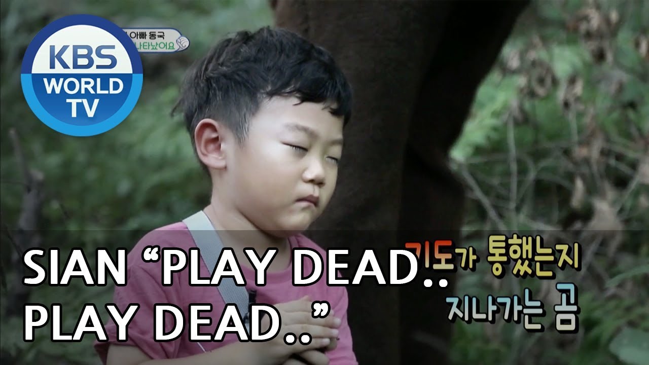SIAN plays dead in front of a "bear" [The Return of Superman/2018.08.26