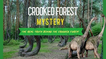 The Mysterious Forest in Poland | Unsolved mystery of the Poland