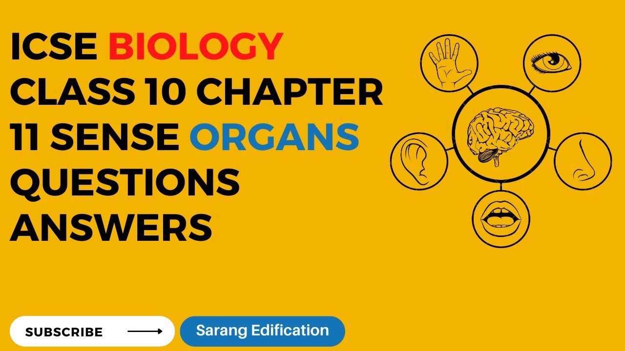 ICSE Biology Class 10 Chapter 11 Sense Organs Questions Answers | - YouTube