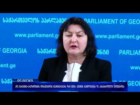 ადა მარშანია - პრეზიდენტის მოხსენებიდან გვაინტერესებს ქვეყნის გამთლიანების და უმუშევრობის საკითხი