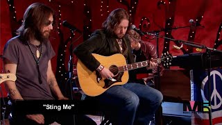 Sting Me - The Black Crowes (VH1 Unplugged, 2008)
