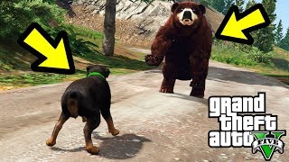 ЧОП ПРОТИВ МЕДВЕДЯ! КТО ПОБЕДИТ?! (GTA 5) ЧОП ПРОТИВ МЕДВЕДЯ! КТО ПОБЕДИТ?! (GTA 5)