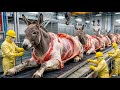 Inside the Largest Donkey Factory l How Luxury Leather Carpet & Soap Are Made (Full Process)