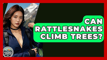 Can Rattlesnakes Climb Trees? - The Hiker