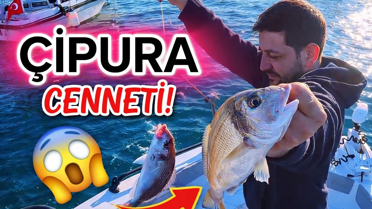 Bodrum'da Tekneden Çipura Avı! Drone Çekimleriyle Ege Manzarası.