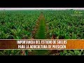 Importancia del estudio de Suelos para la Agricultura de Precision- TvAgro por Juan Gonzalo Angel